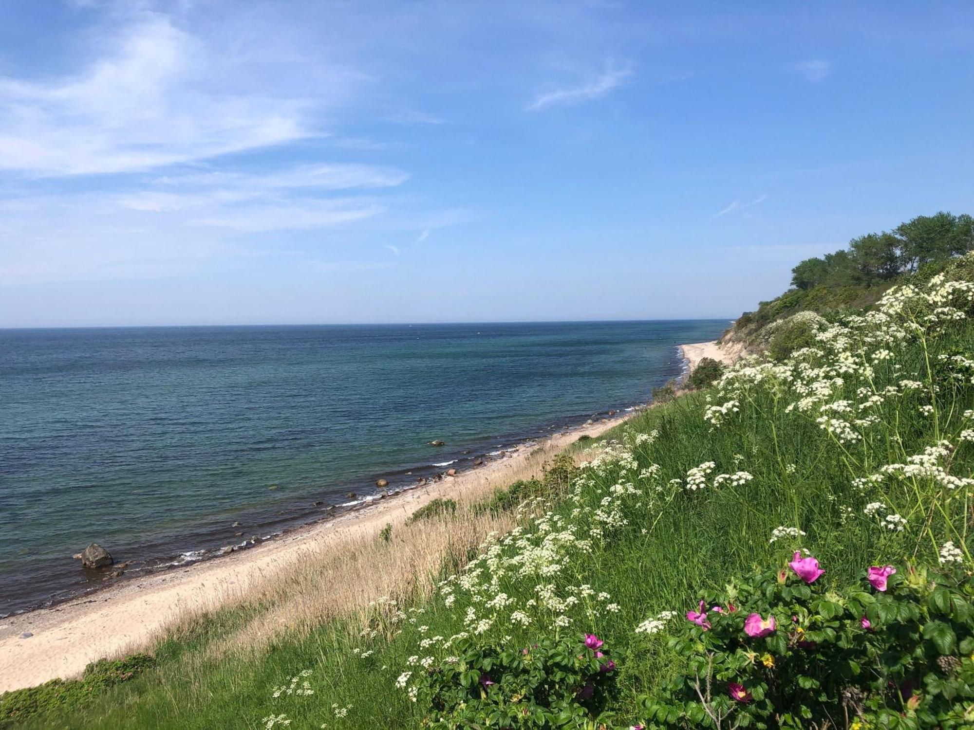 Ferienwohnung-Meeresblick-Rerik Bagian luar foto